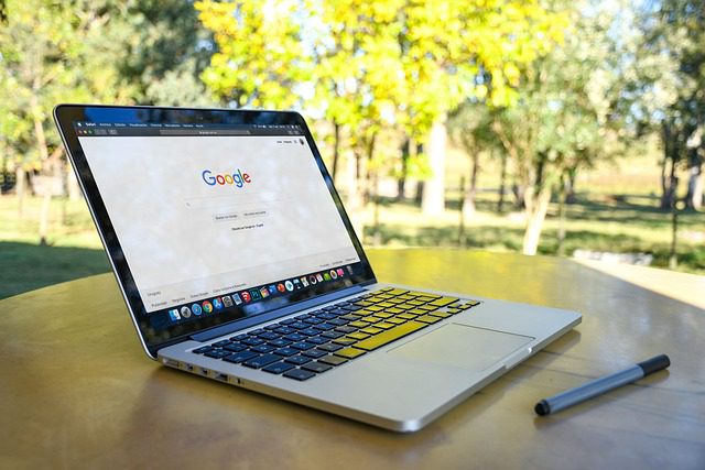 google bilgi penceresi